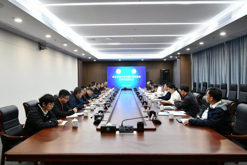 东北石油大学党委书记付晓飞一行到实验室调研交流